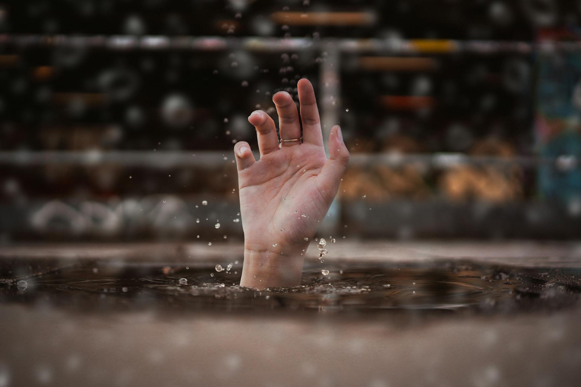 Federico Calicchia - Web Designer - Agency Can Help Authentic Clients?